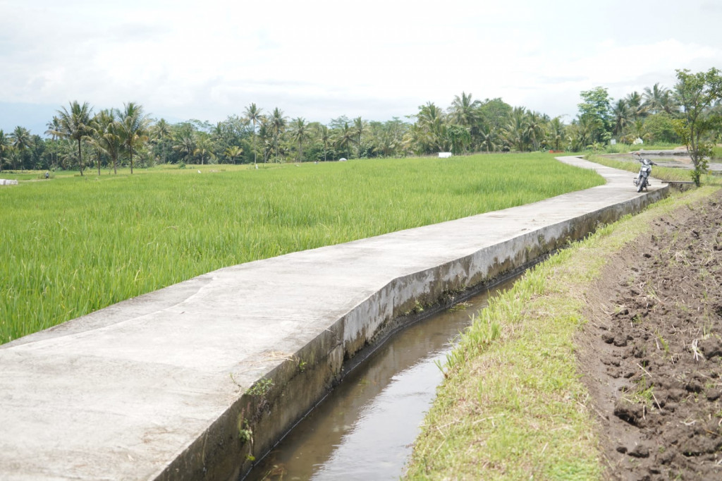 Harapan Program Jalur Usaha Tani untuk Meningkatkan Pendapatan Petani