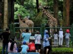 Prediksi Puncak Keramaian Libur Natal dan Tahun Baru di Ragunan pada Tanggal 1 Januari 2024