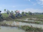 Mancing Mania di Pangandaran dengan Suara Menarik dari Rokhmat Ardiyan, Caleg DPR RI Dapil Jabar X