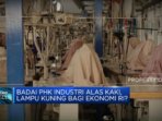 Dampak Badai PHK Industri Alas Kaki Terhadap Ekonomi Indonesia