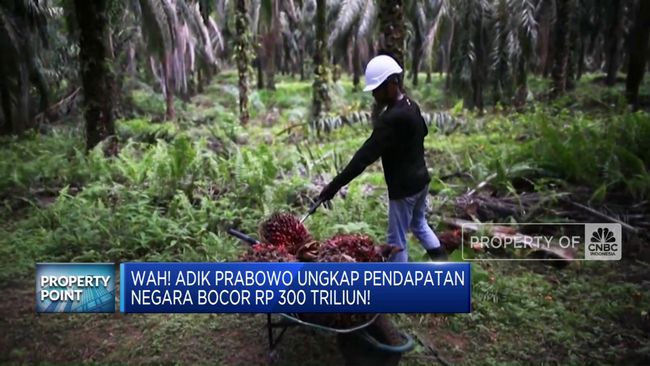 Adik Prabowo Mengungkap Keuangan Negara Kebobolan Rp 300 Triliun!