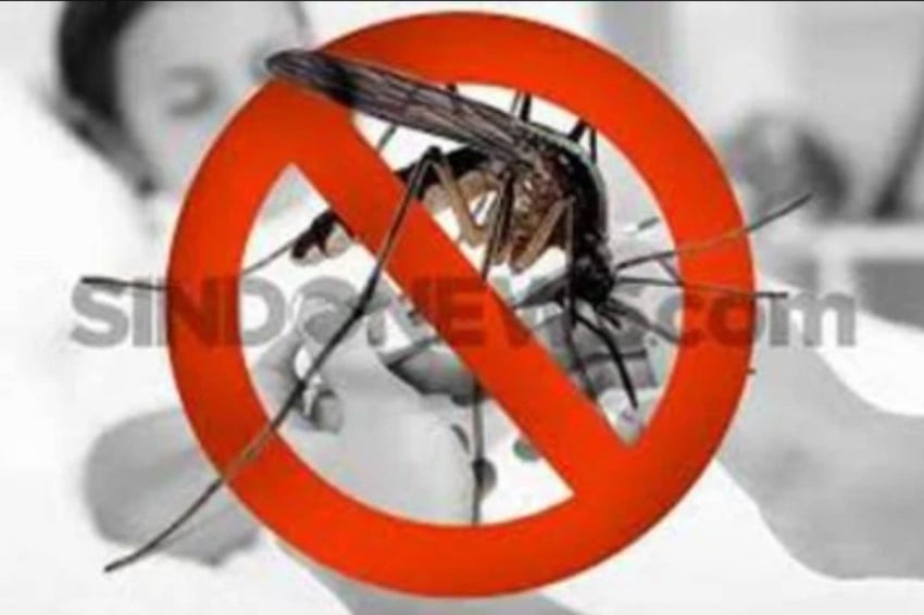 kasus-chikungunya-di-singapura-melonjak-berikut-5-cara-efektif-mencegah-penularannya-imt.jpg