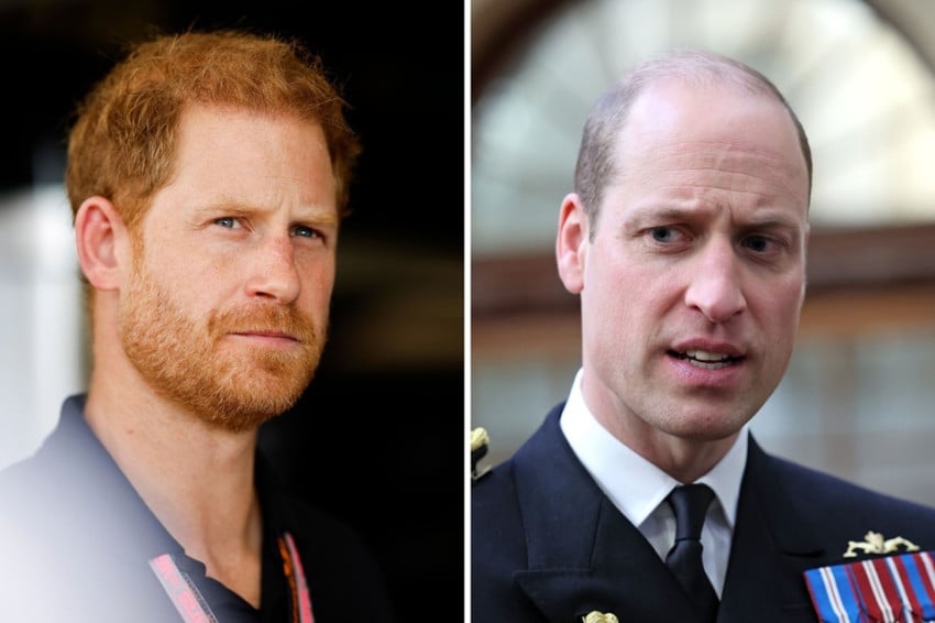 pangeran-harry-berulah-lagi-sindir-william-soal-kejujuran-dalam-keluarga-qjz.jpg
